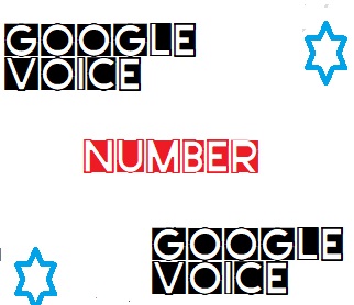 Google voice WhatsApp group